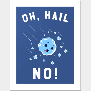 Oh Hail No Posters and Art